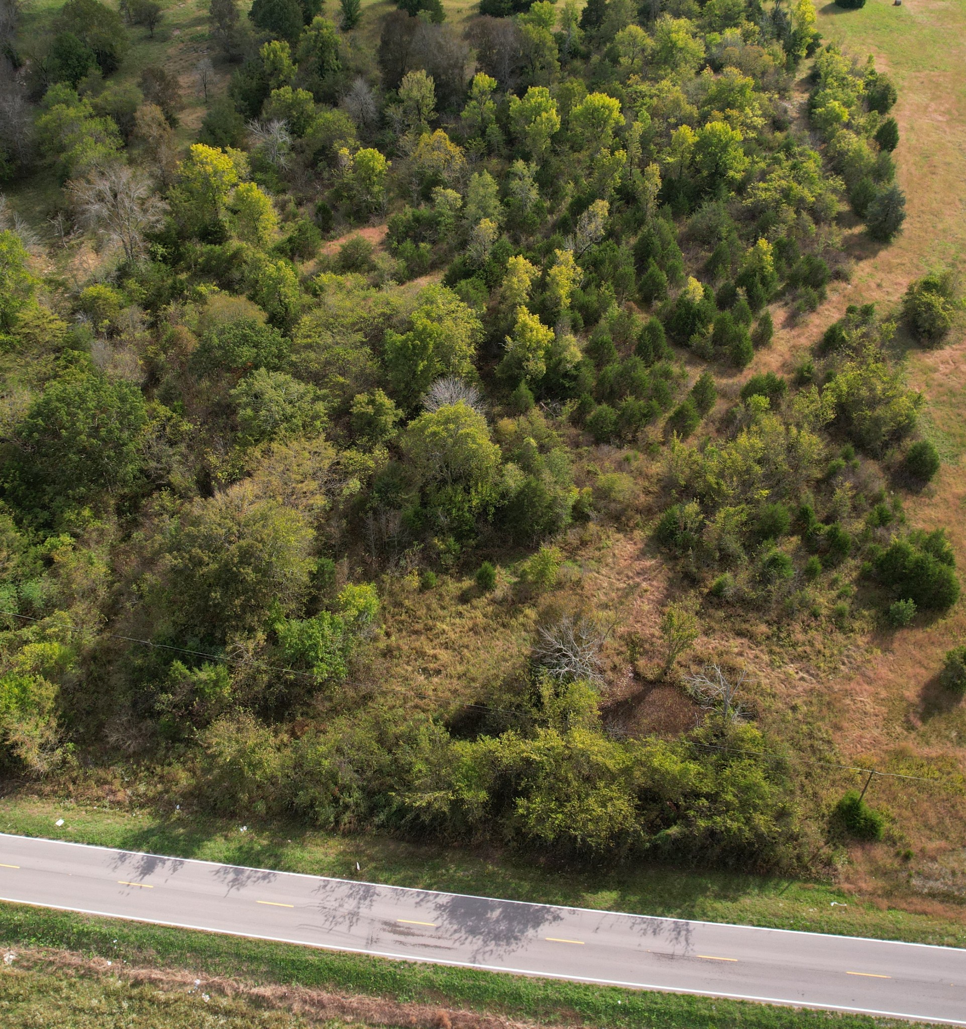 0 Finley Beech Lewisburg TN 37091