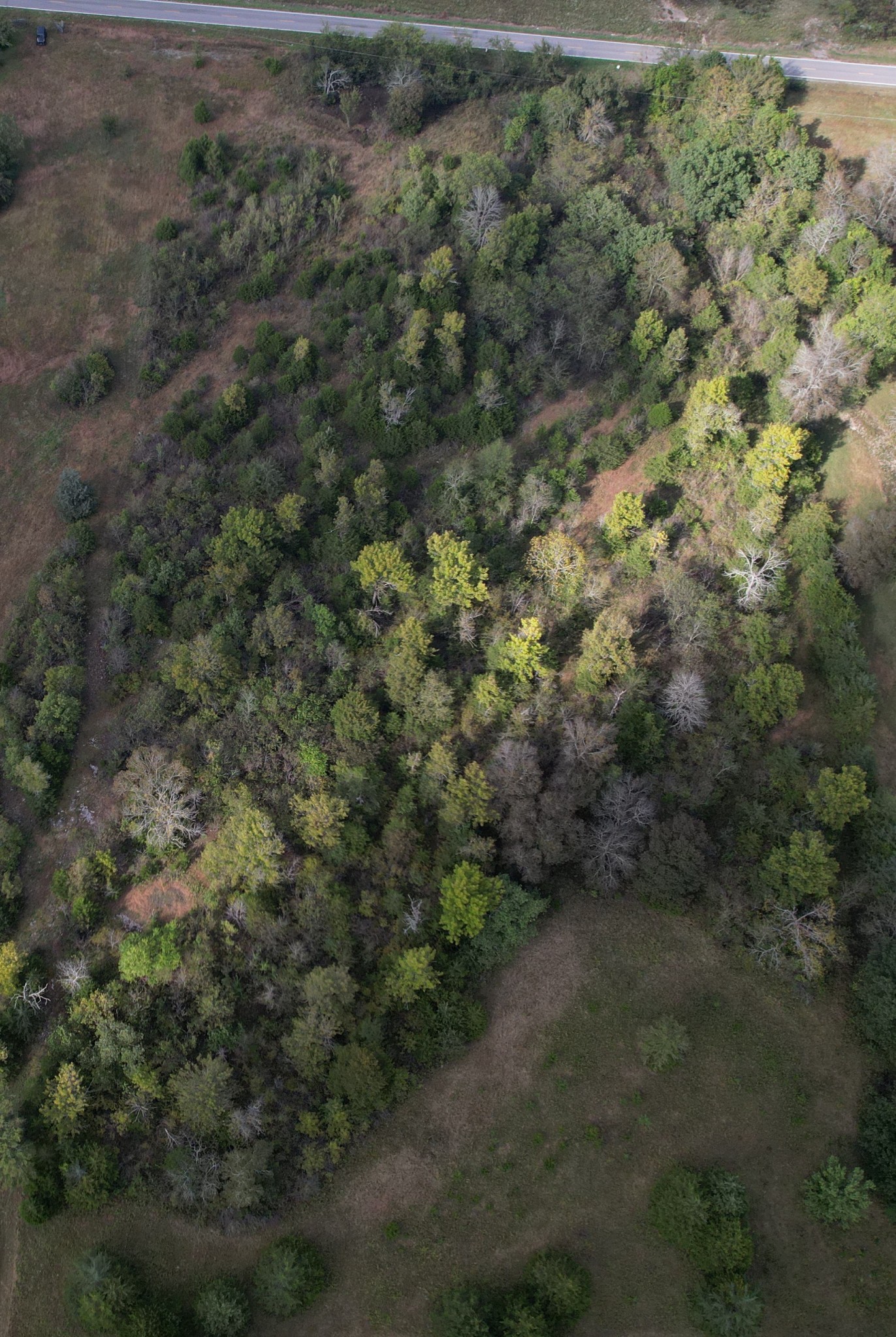0 Finley Beech Lewisburg TN 37091