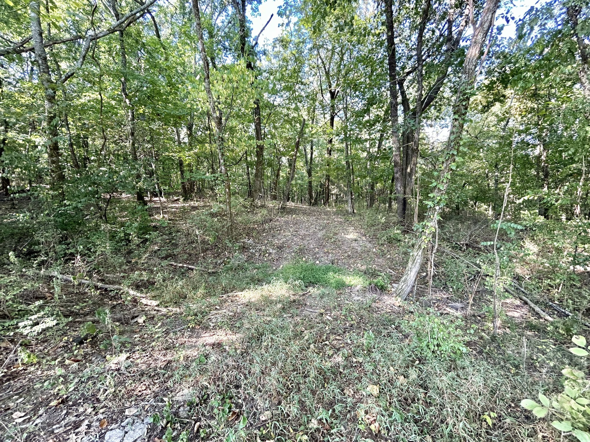 2015 Artesian Drive Nolensville TN 37135
