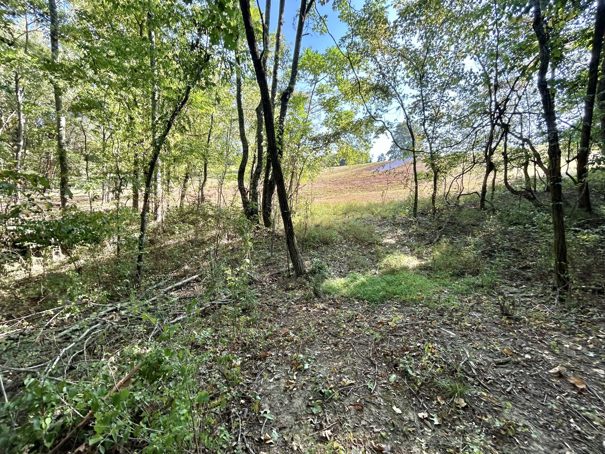 2015 Artesian Drive Nolensville TN 37135