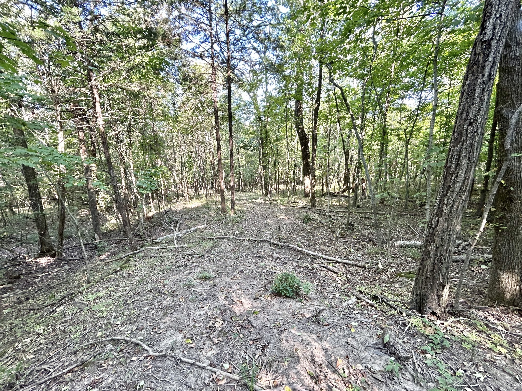 2015 Artesian Drive Nolensville TN 37135
