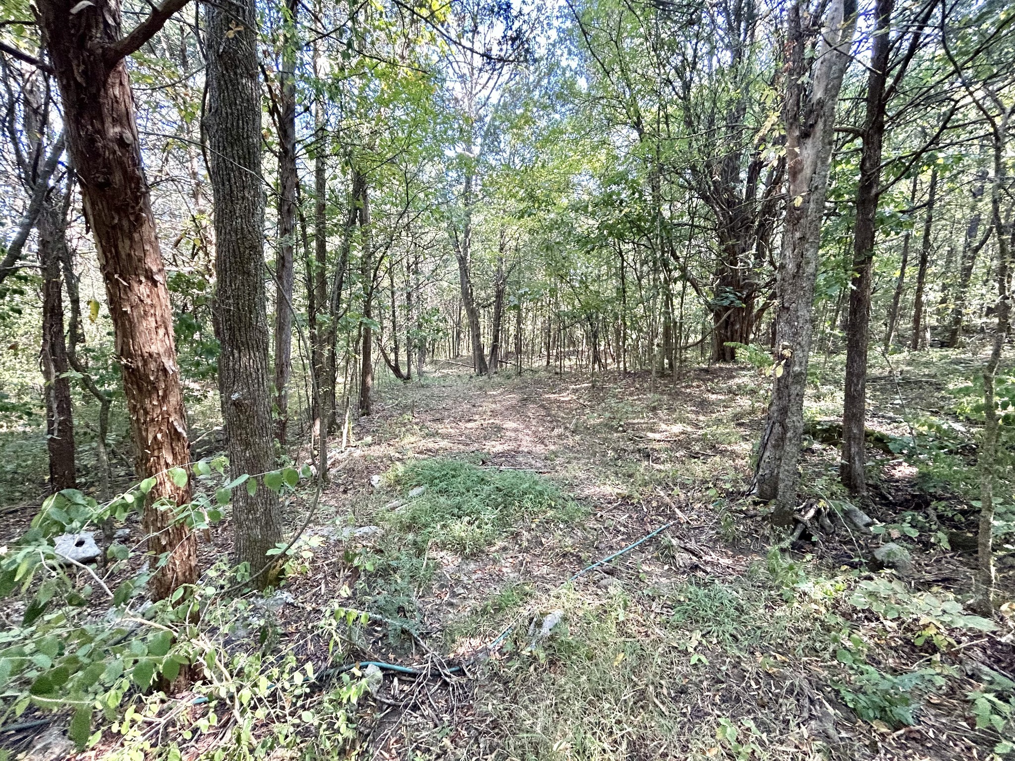 2015 Artesian Drive Nolensville TN 37135