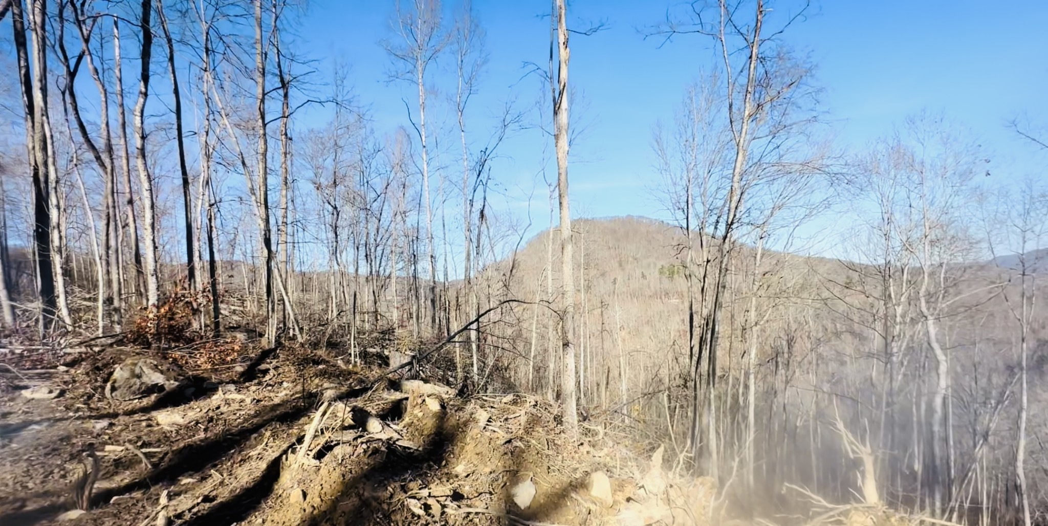 0 Campbell Highlands Drive Pioneer TN 37847