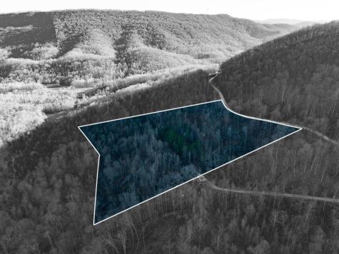 0 Campbell Highlands Drive Pioneer TN 37847