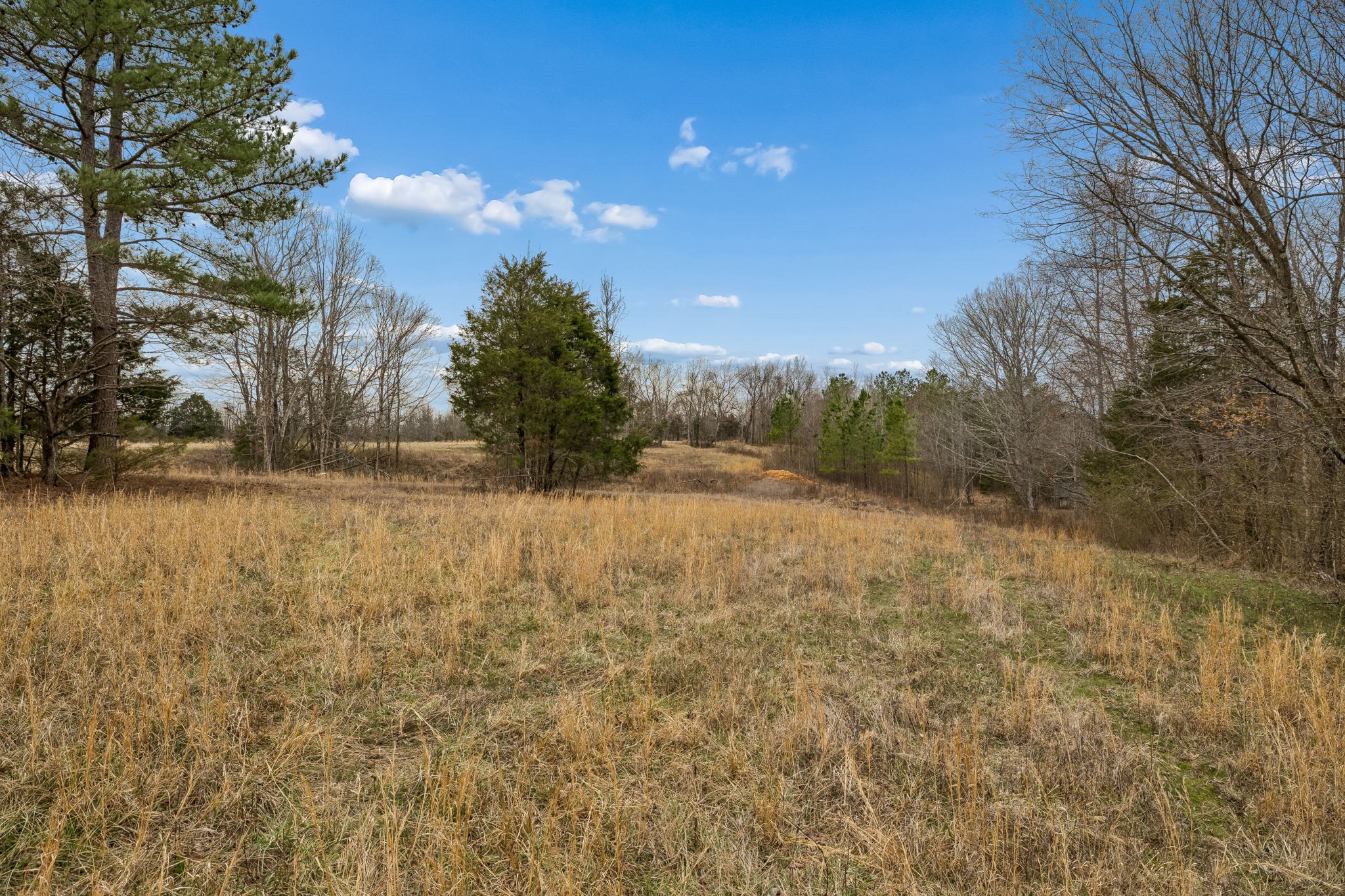 0 Mosley Ferry Road Ashland City TN 37015