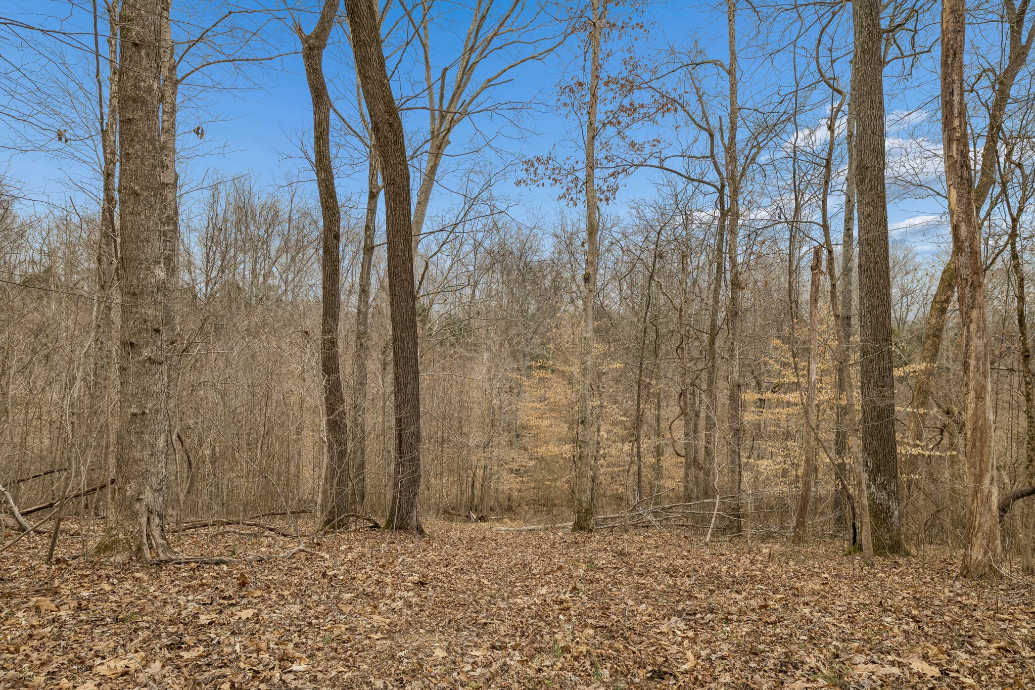 0 Mosley Ferry Road Ashland City TN 37015
