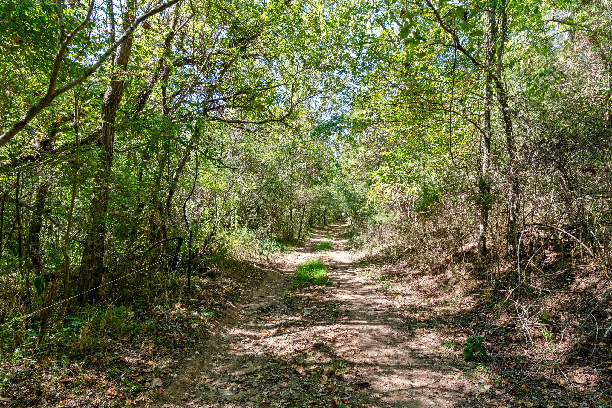 2320 Stephens Road Columbia TN 38401