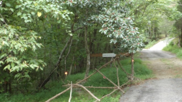 0 Old Highway 53 S Celina TN 38551