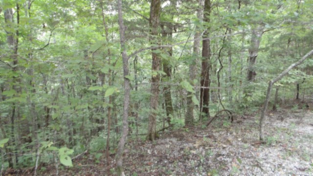 0 Old Highway 53 S Celina TN 38551