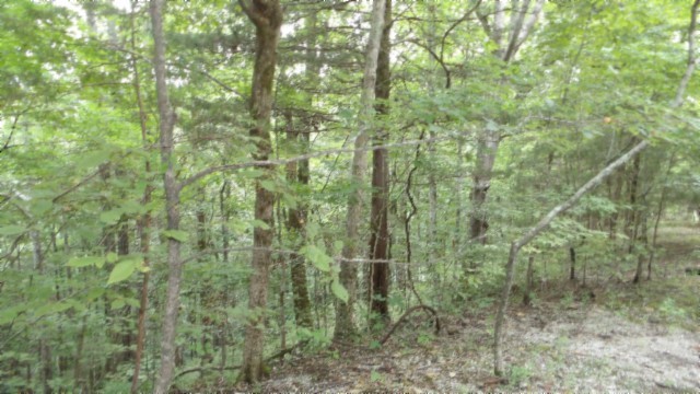 0 Old Highway 53 S Celina TN 38551