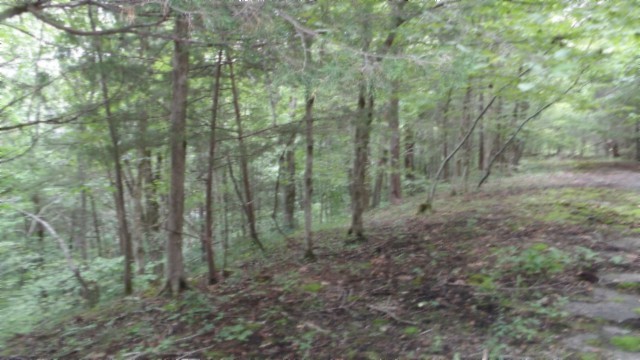 0 Old Highway 53 S Celina TN 38551