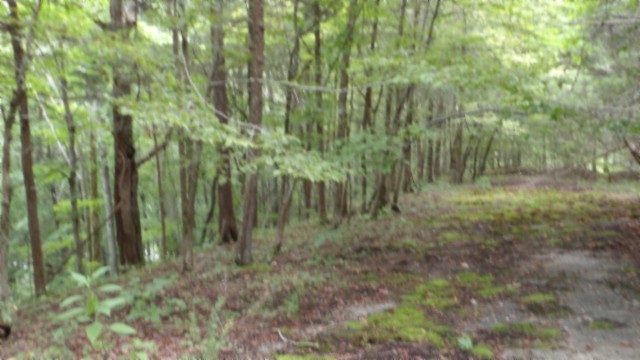 0 Old Highway 53 S Celina TN 38551