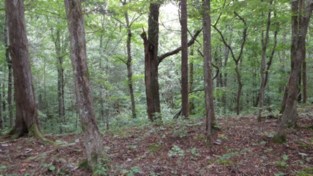 0 Old Highway 53 S Celina TN 38551