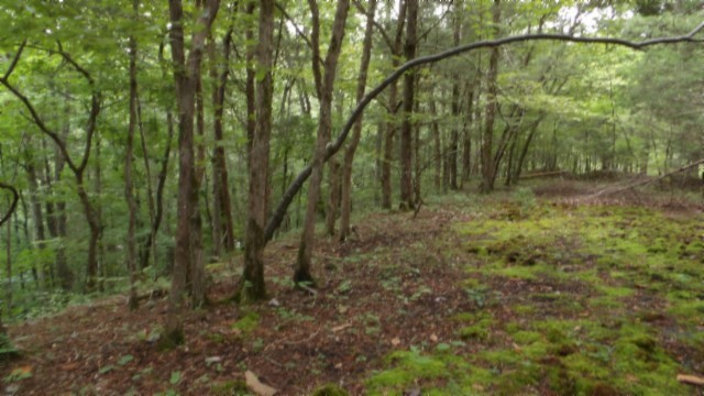 0 Old Highway 53 S Celina TN 38551