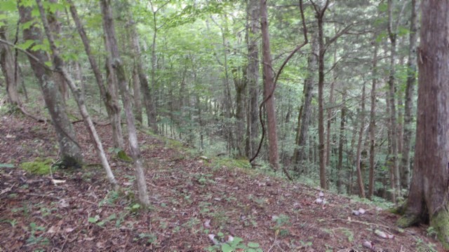 0 Old Highway 53 S Celina TN 38551