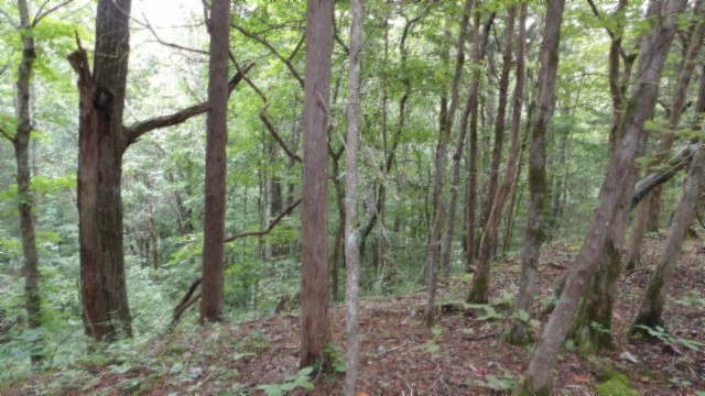 0 Old Highway 53 S Celina TN 38551