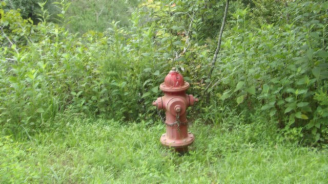 0 Old Highway 53 S Celina TN 38551