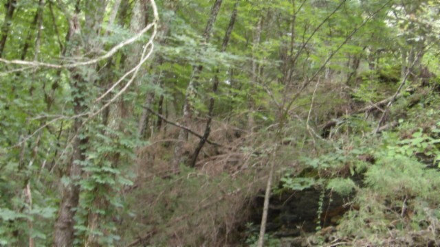 0 Old Highway 53 S Celina TN 38551