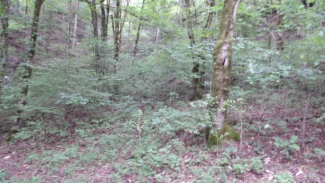 0 Old Highway 53 S Celina TN 38551