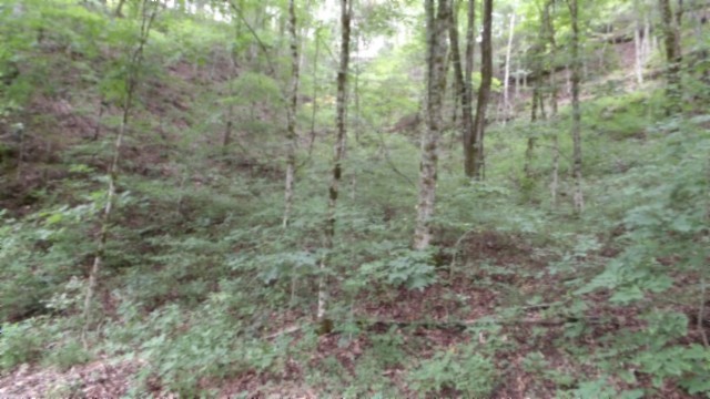 0 Old Highway 53 S Celina TN 38551