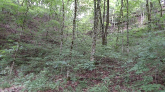 0 Old Highway 53 S Celina TN 38551