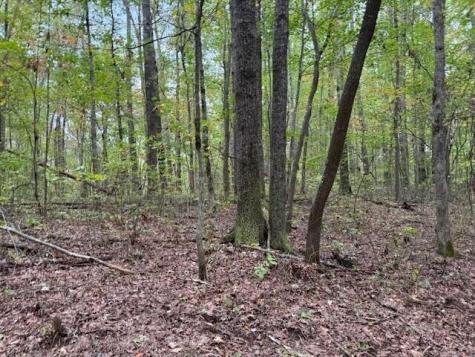 3 Tipple Road Tracy City TN 37387