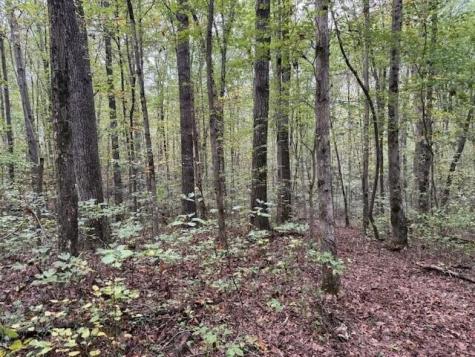 3 Tipple Road Tracy City TN 37387