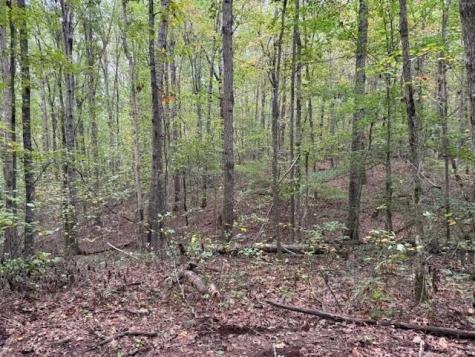 3 Tipple Road Tracy City TN 37387