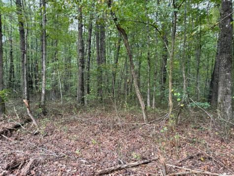 3 Tipple Road Tracy City TN 37387