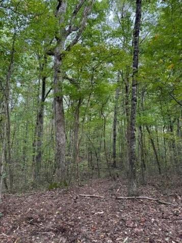 3 Tipple Road Tracy City TN 37387