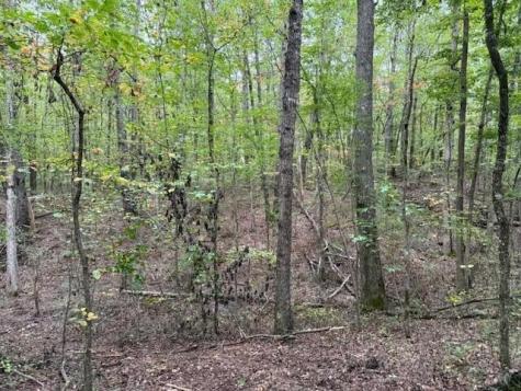 3 Tipple Road Tracy City TN 37387