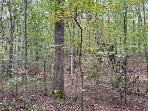 3 Tipple Road Tracy City TN 37387