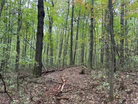 3 Tipple Road Tracy City TN 37387