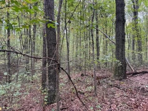 3 Tipple Road Tracy City TN 37387