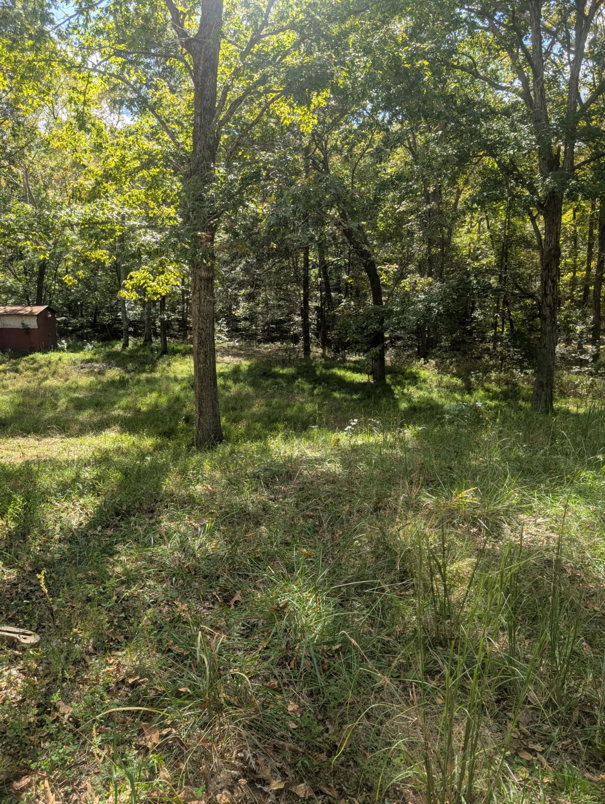 2775 N Hurricane Creek Road Mc Ewen TN 37101