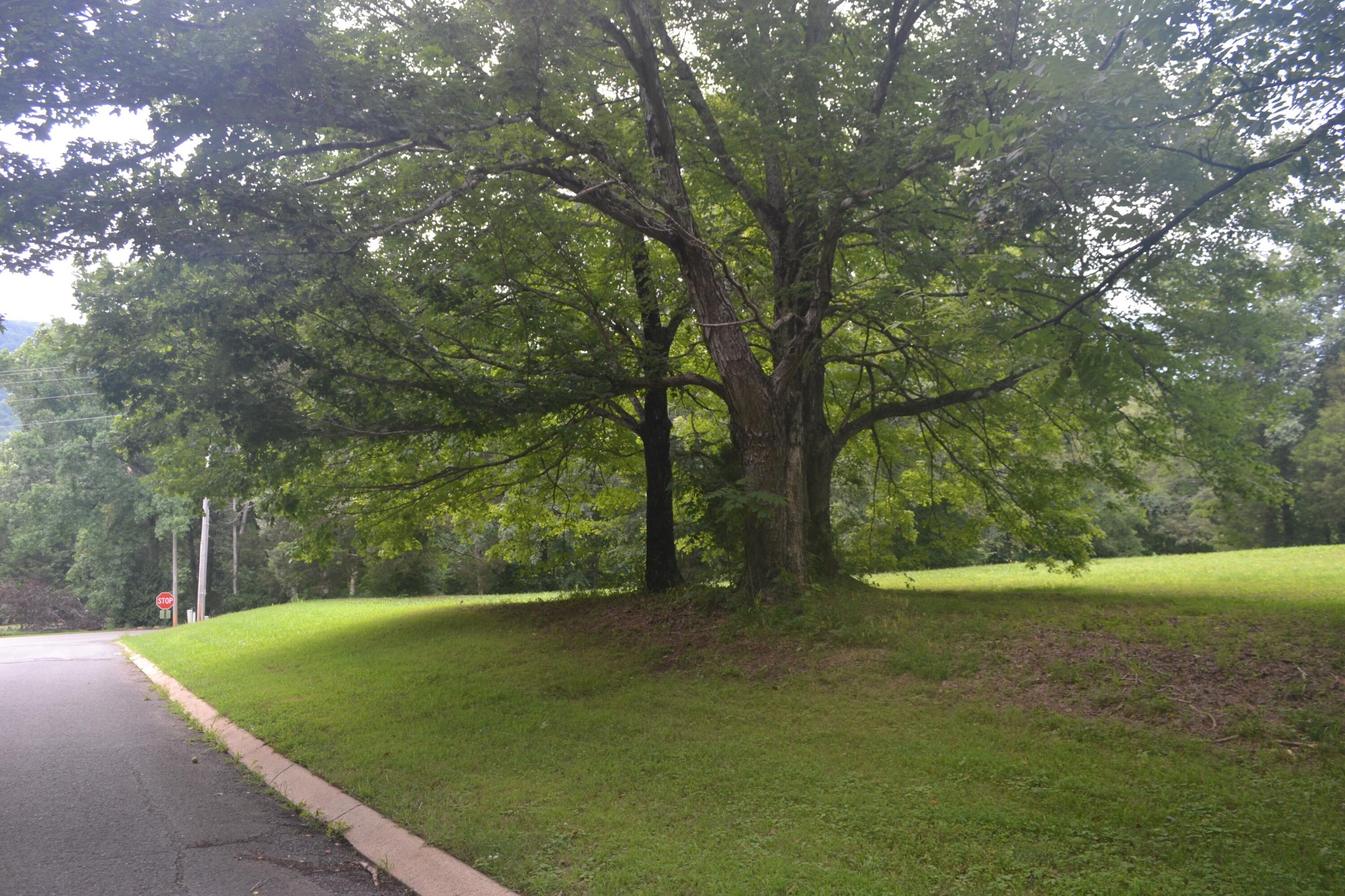 16 Old State Highway 28 Pikeville TN 37367