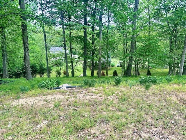 110 Fox Squirrel Drive Dover TN 37058