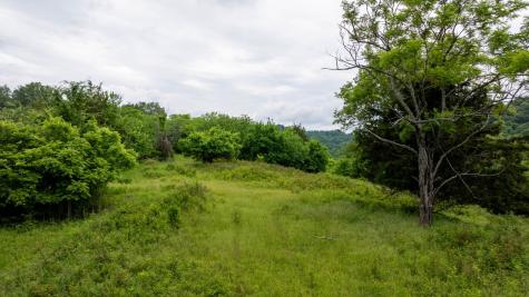 1495 Wolf Hill Road Bethpage TN 37022