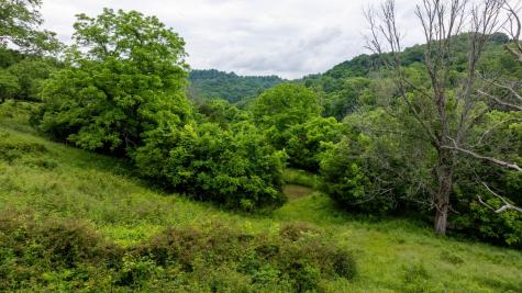 1495 Wolf Hill Road Bethpage TN 37022
