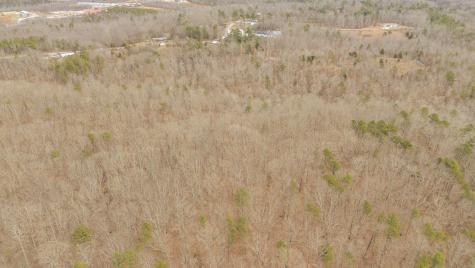0 Walker Road Waynesboro TN 38485