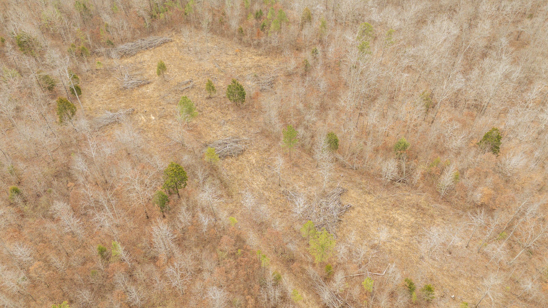 0 Walker Road Waynesboro TN 38485