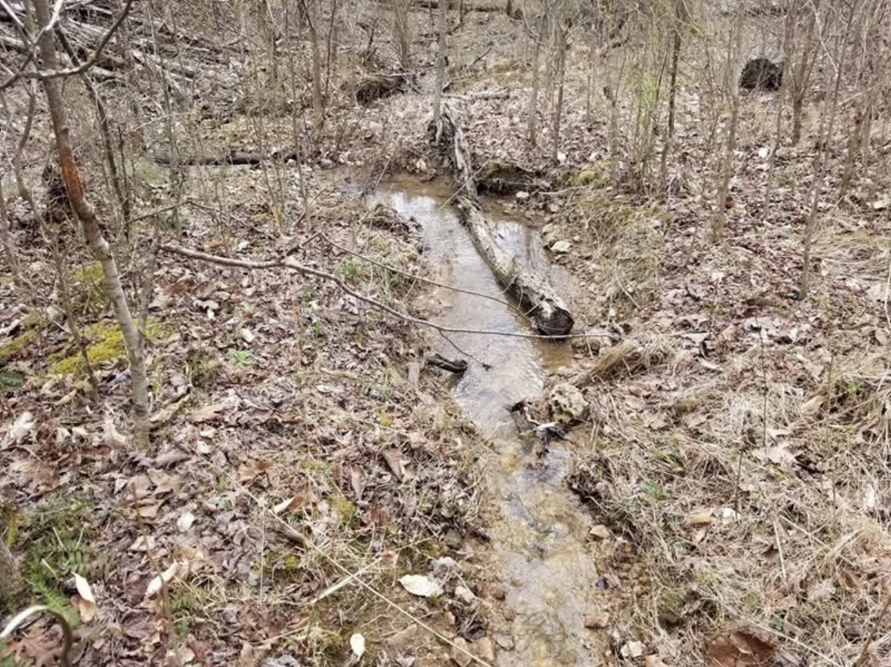 0 Walker Road Waynesboro TN 38485
