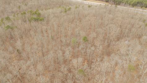 0 Walker Road Waynesboro TN 38485