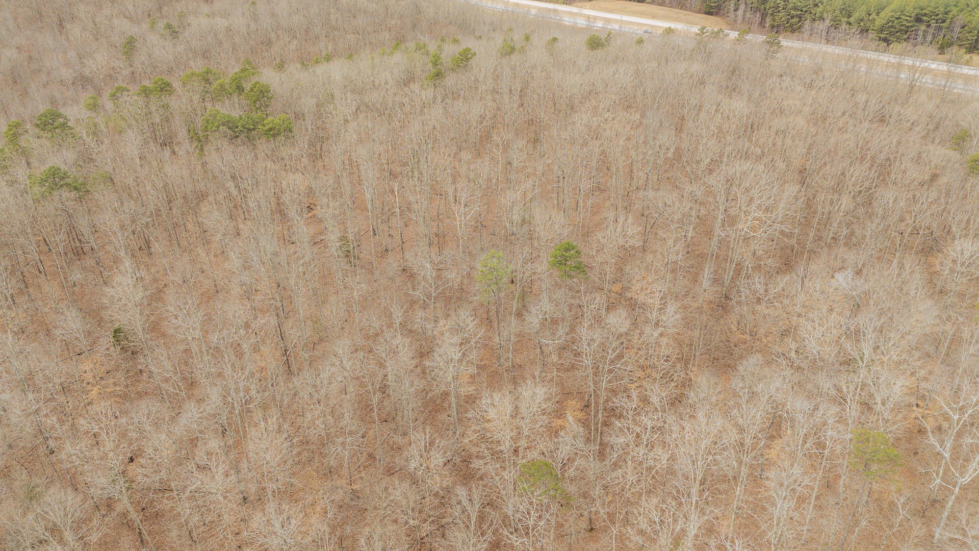 0 Walker Road Waynesboro TN 38485