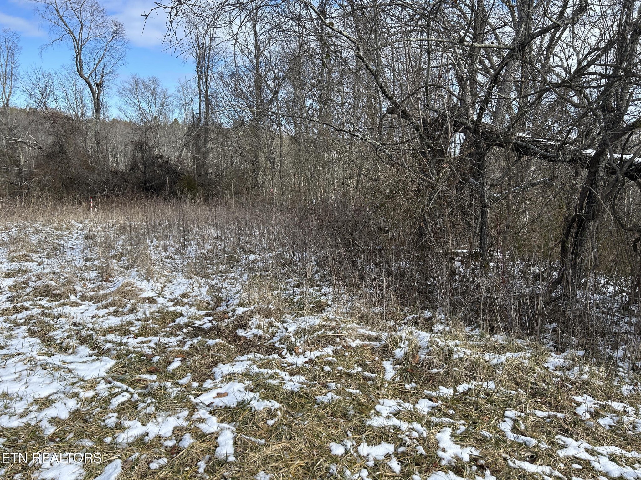 0 Chapman Road Jamestown TN 38556