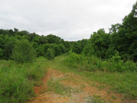 0 Center Point Acres, N Walling TN 38587