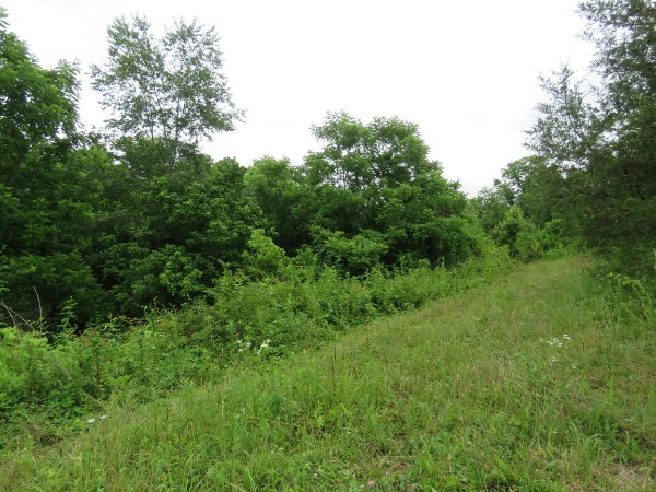 0 Center Point Acres, N Walling TN 38587