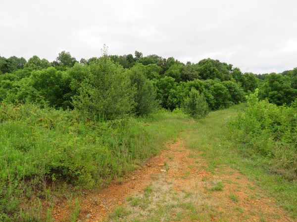 0 Center Point Acres, N Walling TN 38587