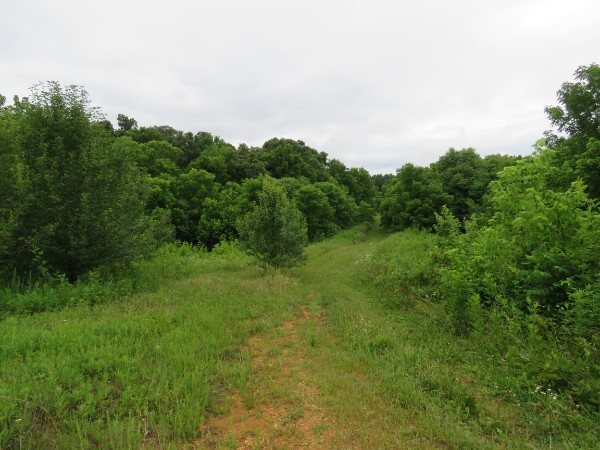0 Center Point Acres, N Walling TN 38587