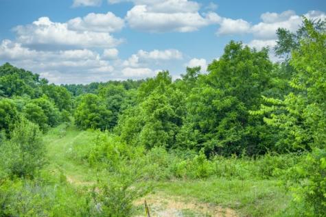 0 Center Point Acres, N Walling TN 38587